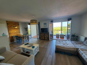 Grand appartement, 3 chambres, très bonne literie, résidence avec piscine à Pin Rolland